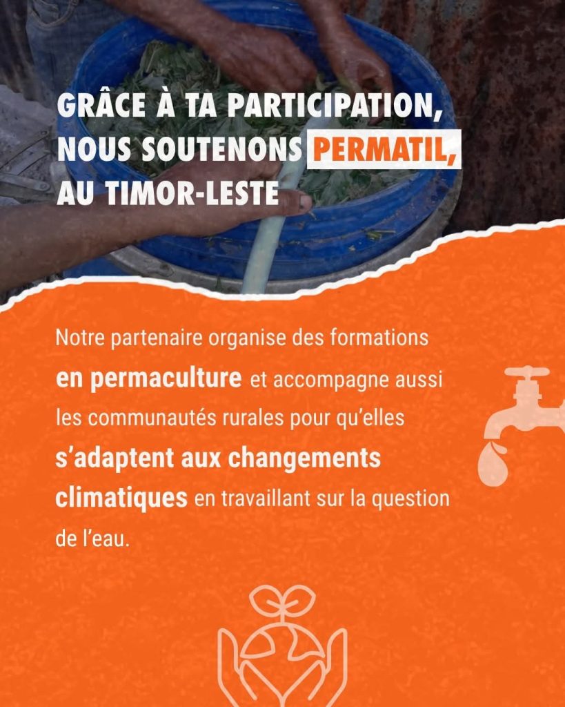 Marche CCFD Terre Solidaire